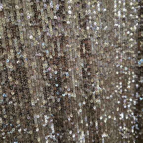Cable & Gauge NWT Sequin Champaign Pencil Skirt Pull on Size L - Picture 4 of 10